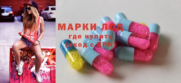 прущие грибы Абинск