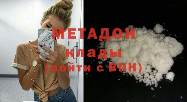 прущие грибы Абинск