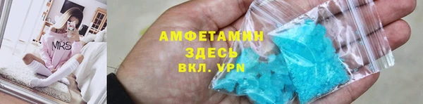 прущие грибы Абинск