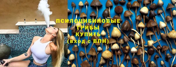 стаф Абаза
