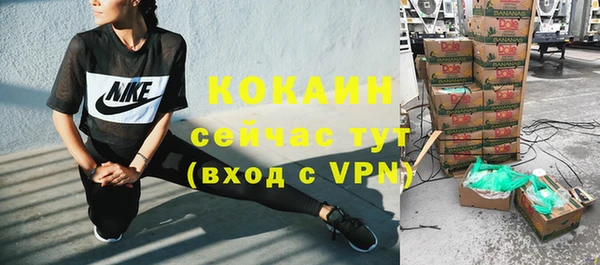 стаф Абаза
