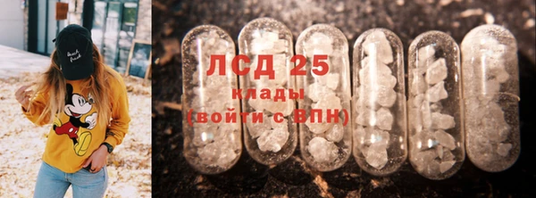 прущие грибы Абинск